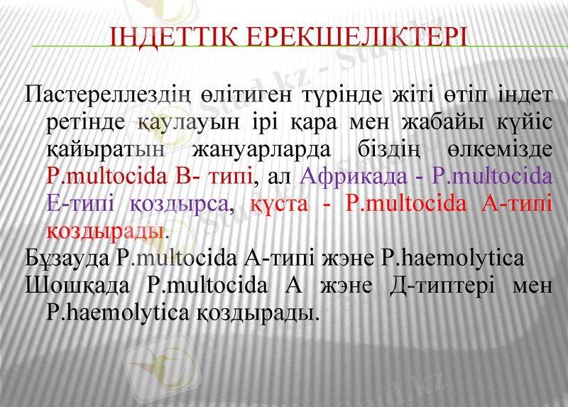 Slide 10