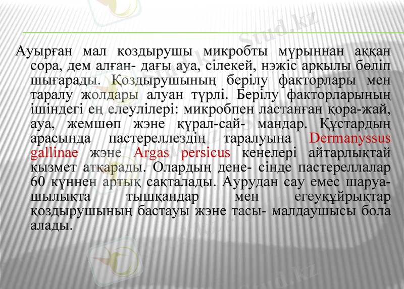 Slide 11
