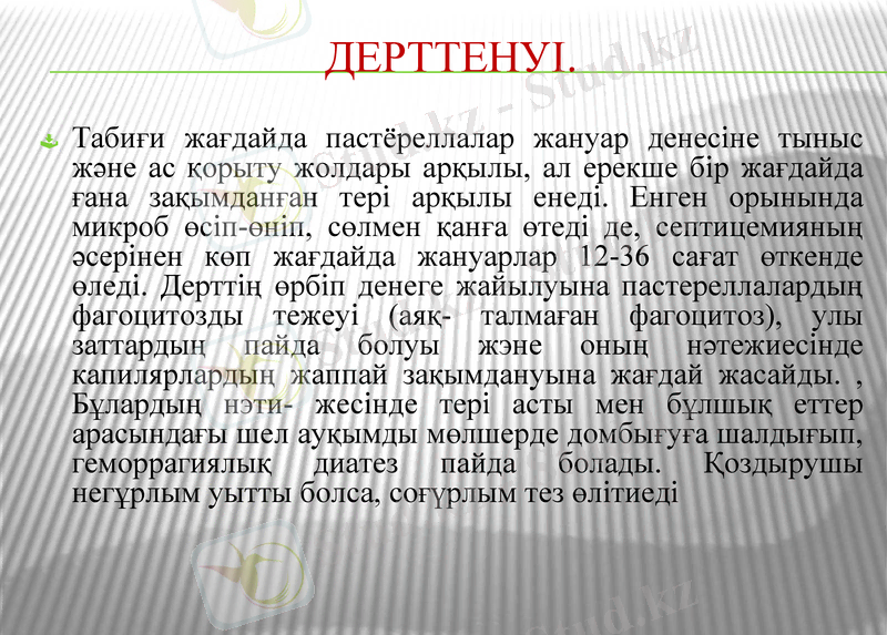 Slide 13