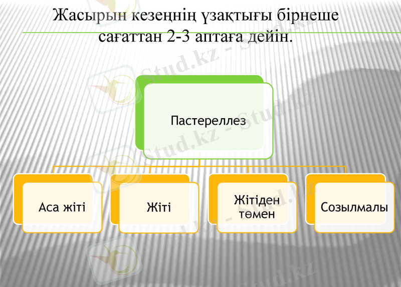Slide 14