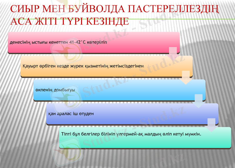 Slide 15