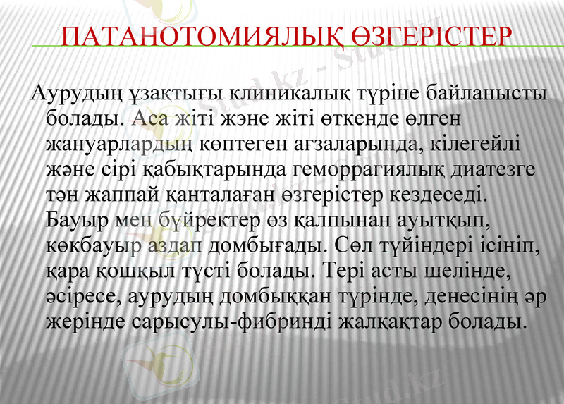 Slide 16