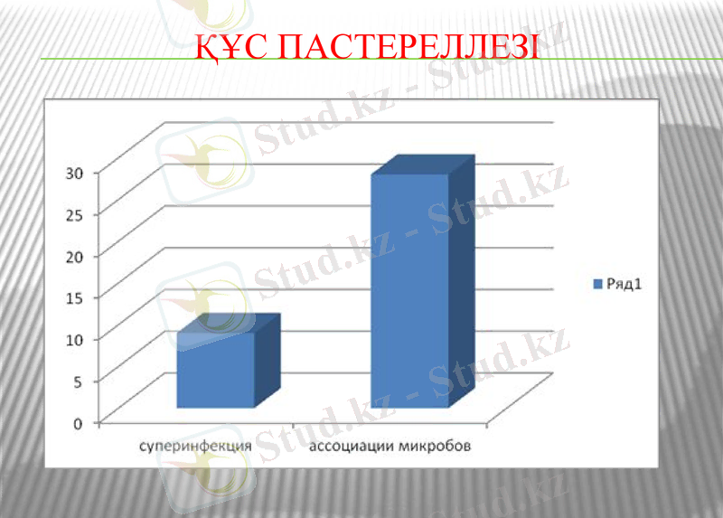 Slide 20
