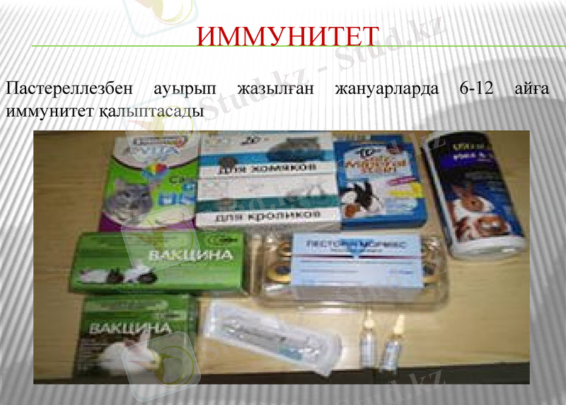 Slide 22