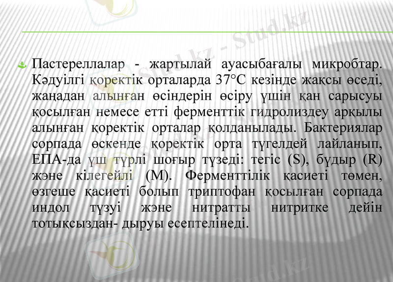 Slide 7