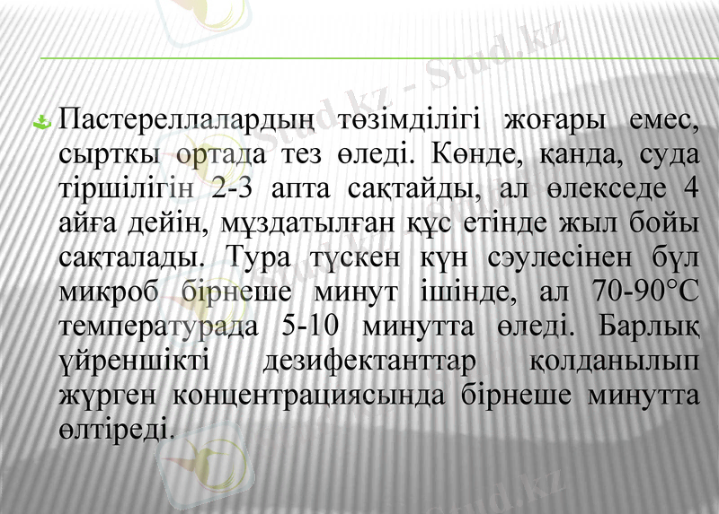 Slide 9