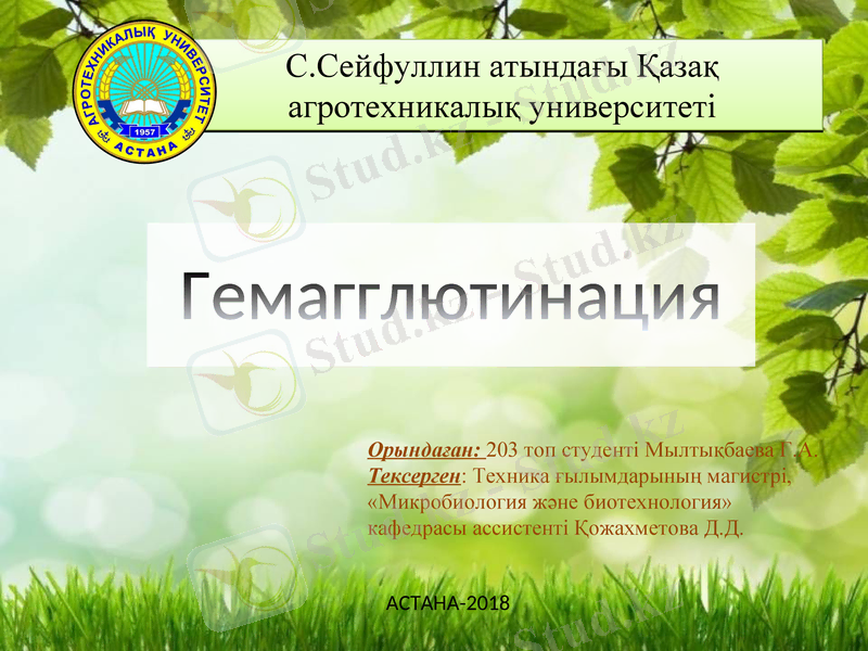 Slide 1