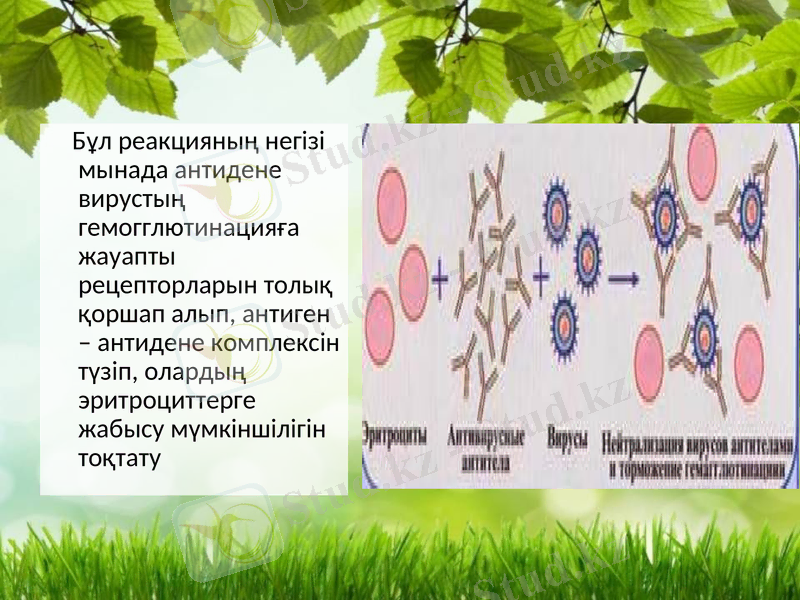 Slide 10