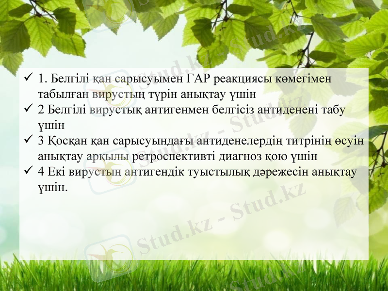 Slide 11