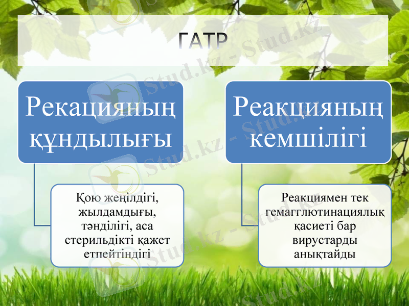 Slide 12