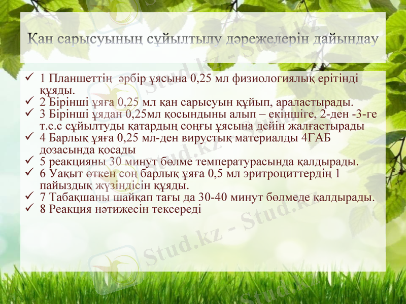Slide 13