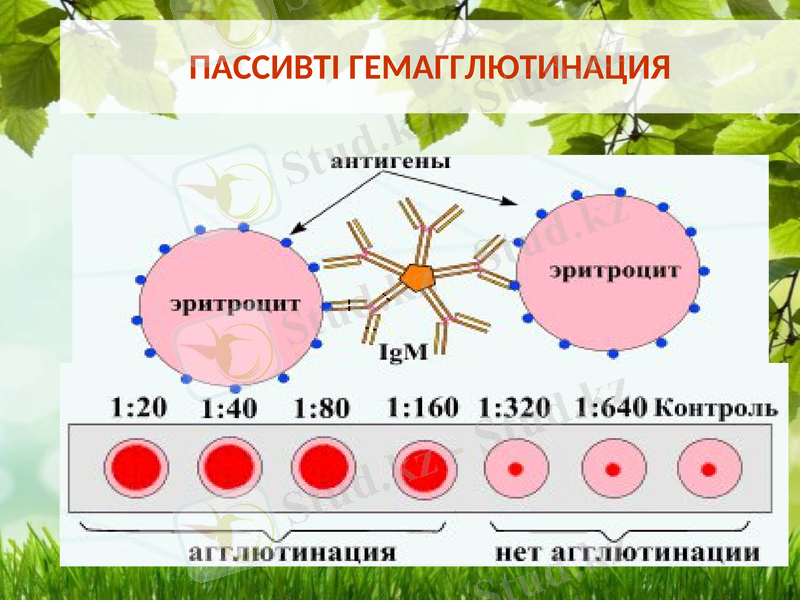 Slide 14