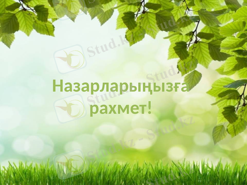 Slide 15