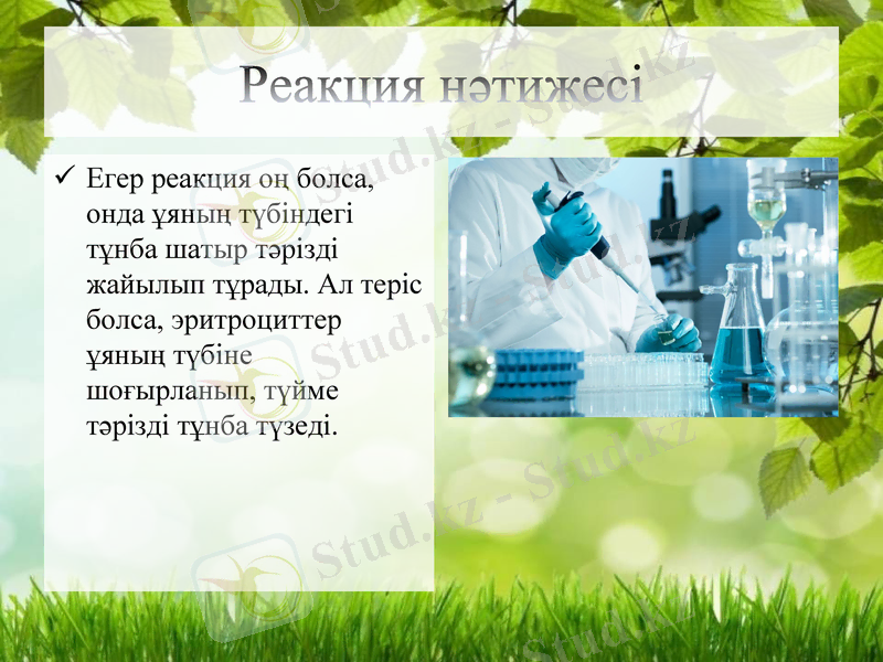 Slide 7