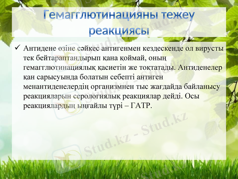 Slide 9