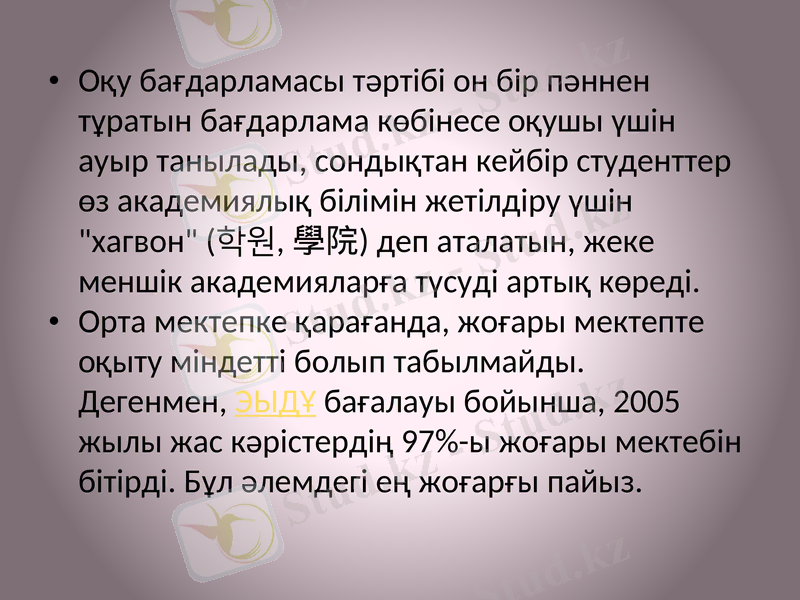 Slide 11