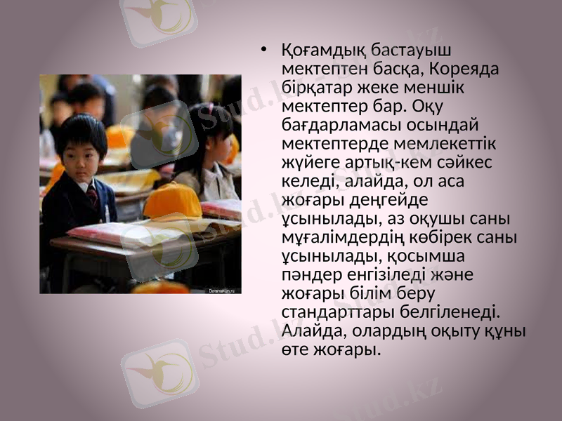 Slide 7
