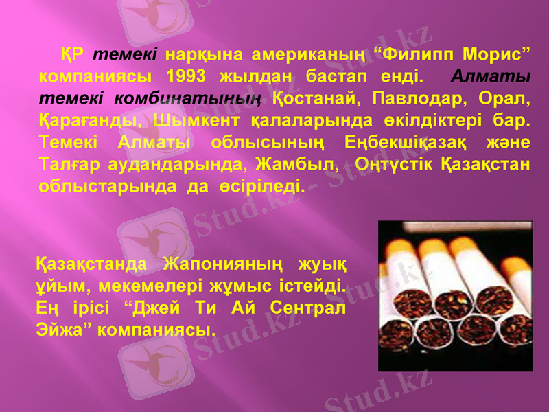 Slide 11