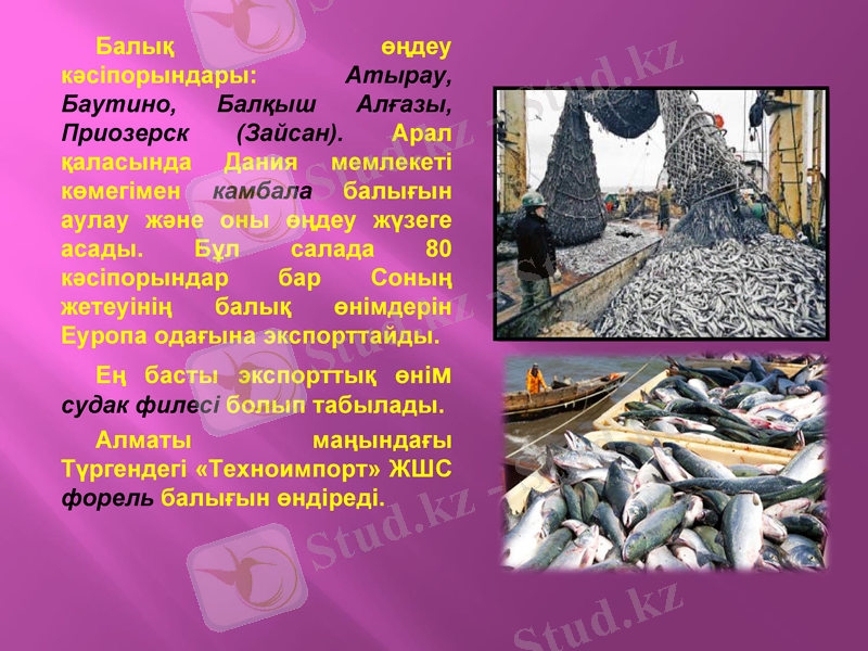 Slide 12