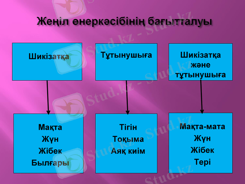 Slide 16
