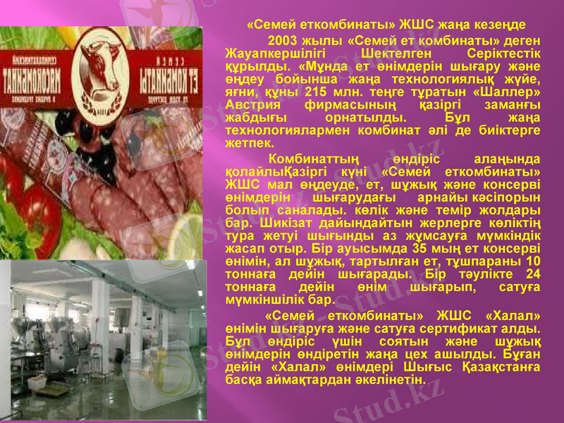 Slide 7