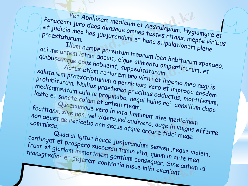 Slide 5