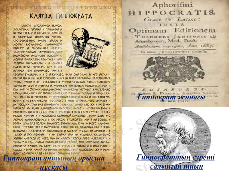 Slide 7