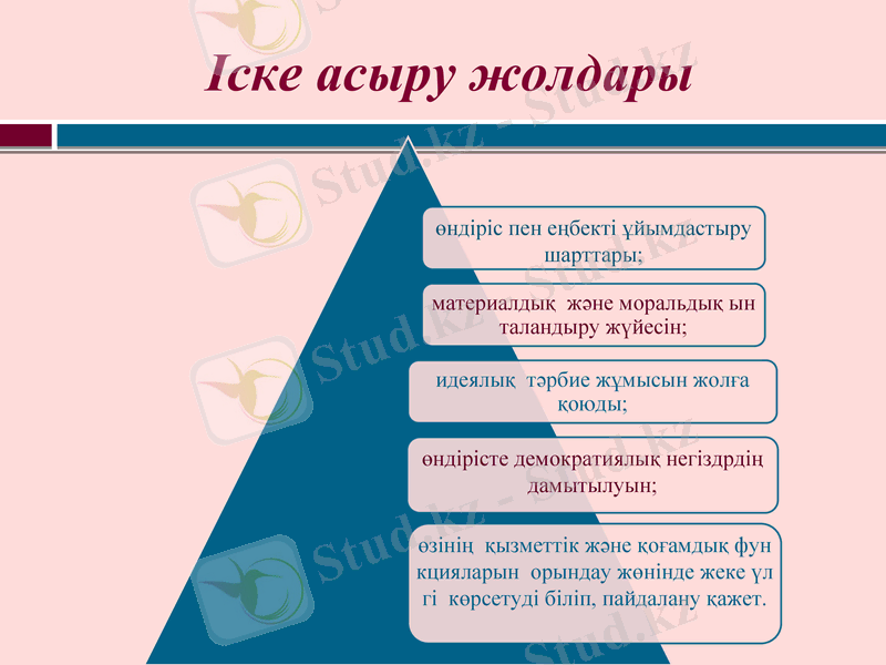 Slide 11