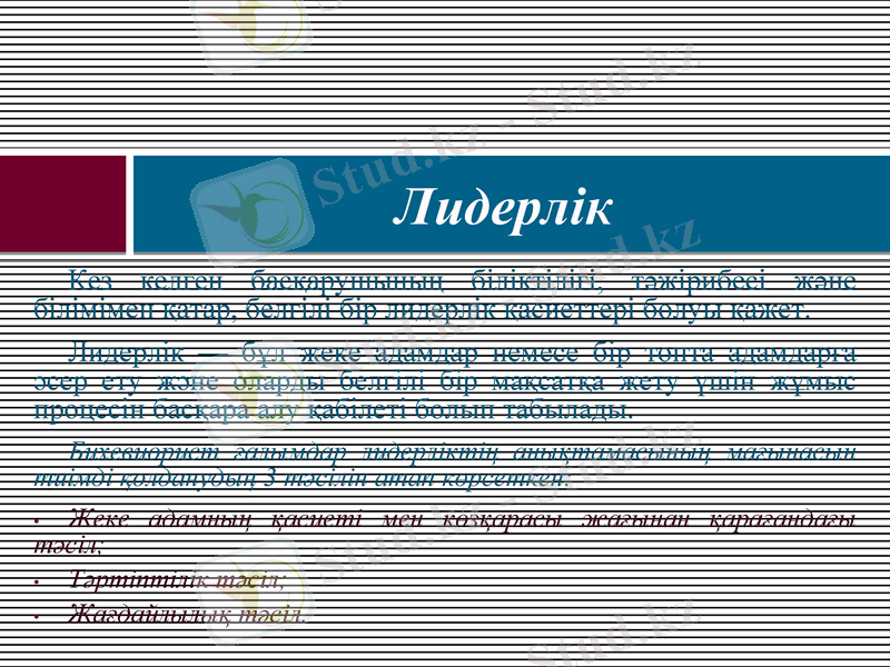 Slide 13