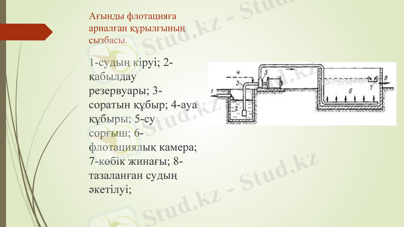 Slide 8