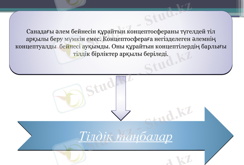 Slide 12