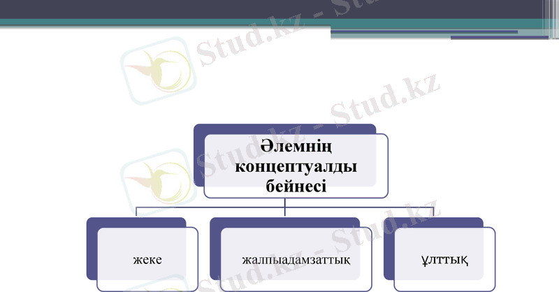 Slide 7