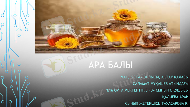 Slide 1