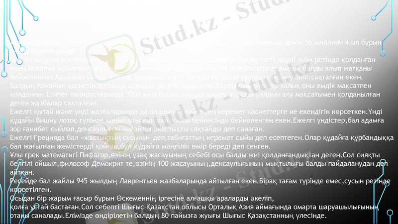 Slide 4