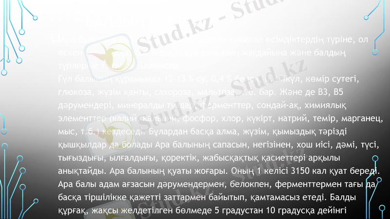 Slide 7