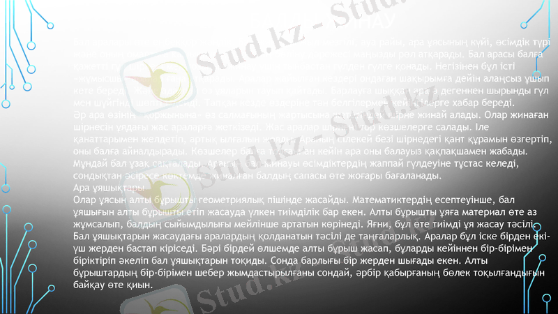 Slide 8
