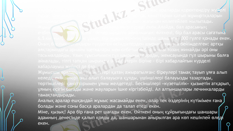 Slide 9