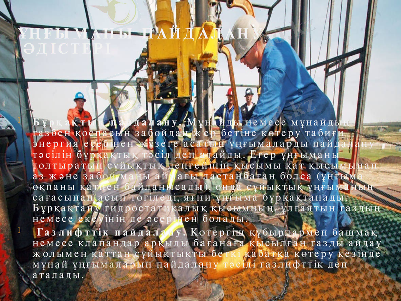 Slide 7