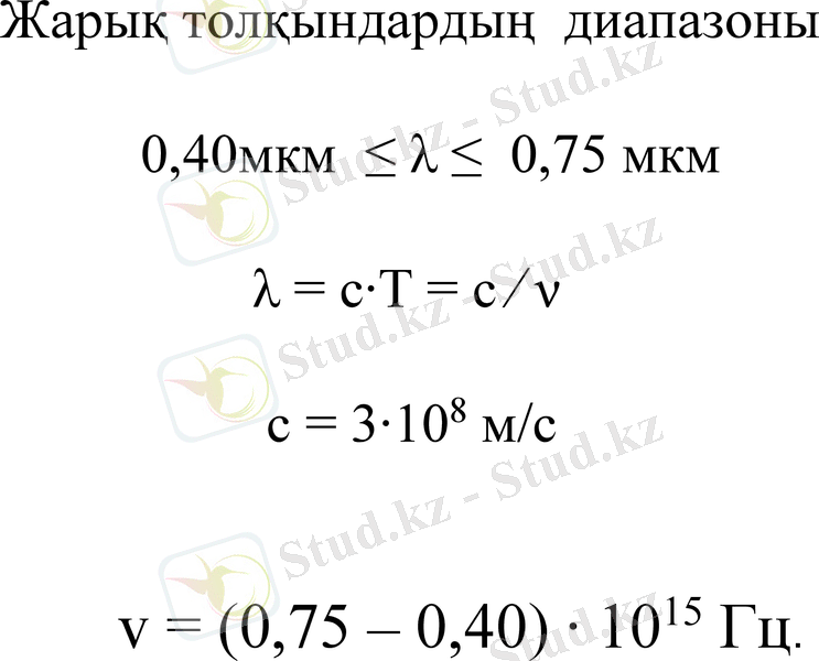 Slide 13