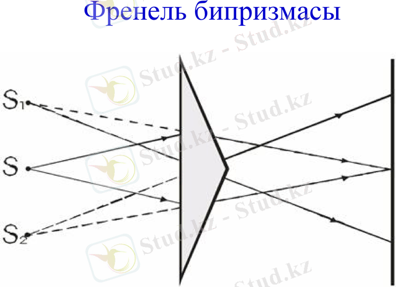 Slide 29