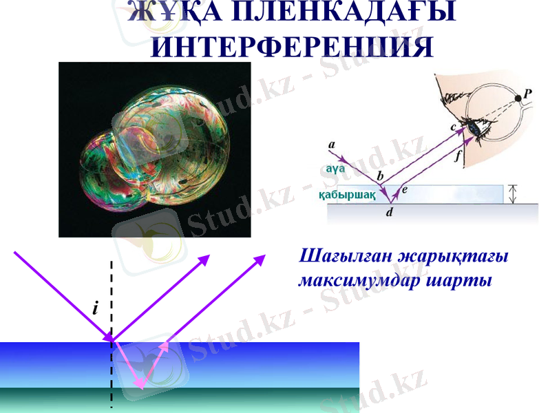 Slide 38