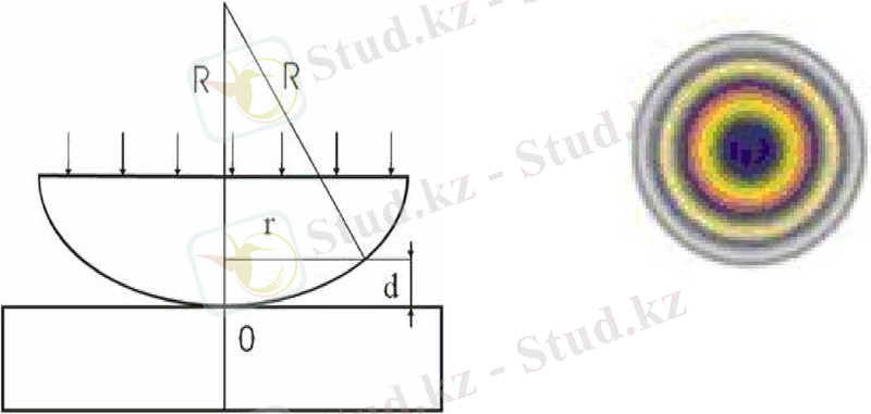 Slide 41