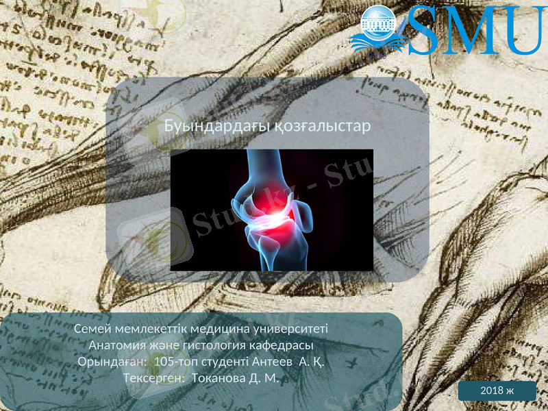 Slide 1