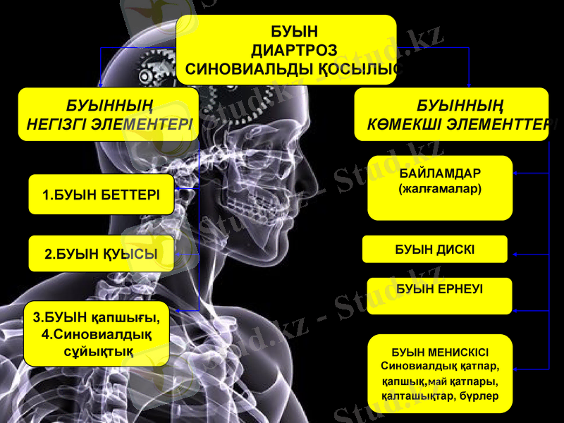 Slide 10