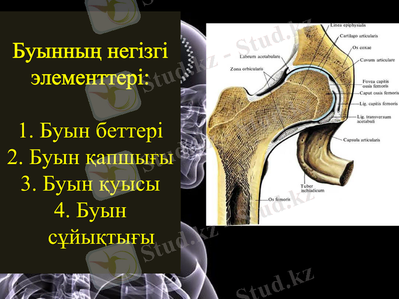 Slide 11