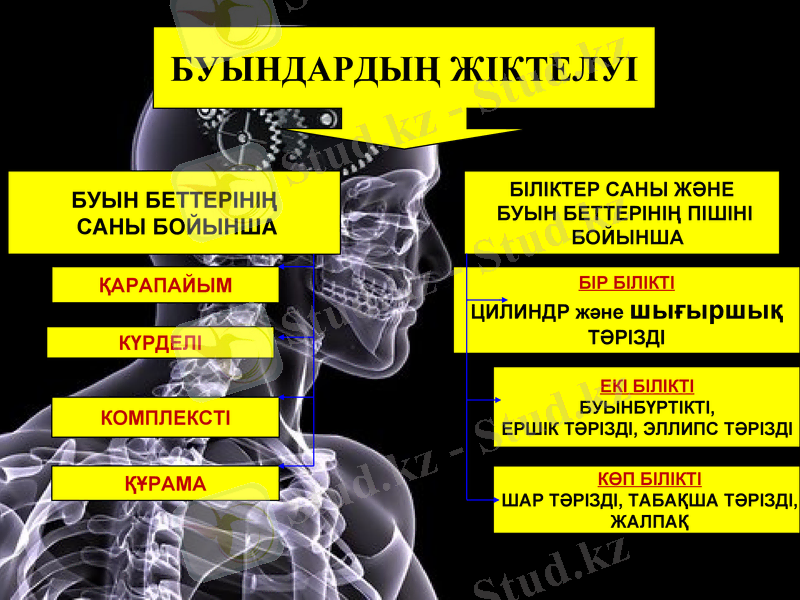 Slide 12