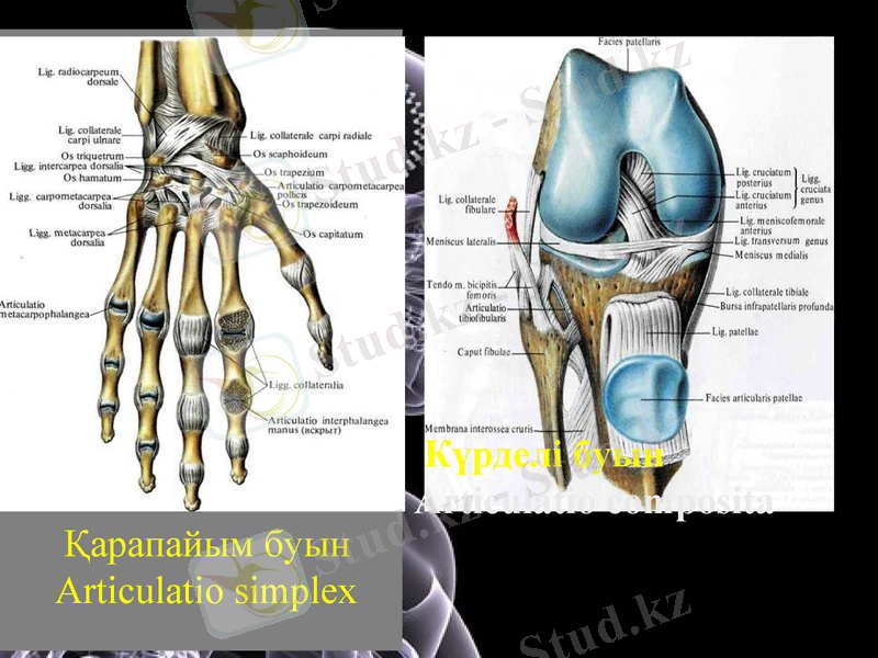 Slide 13