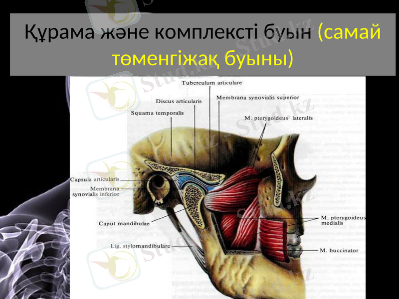 Slide 15