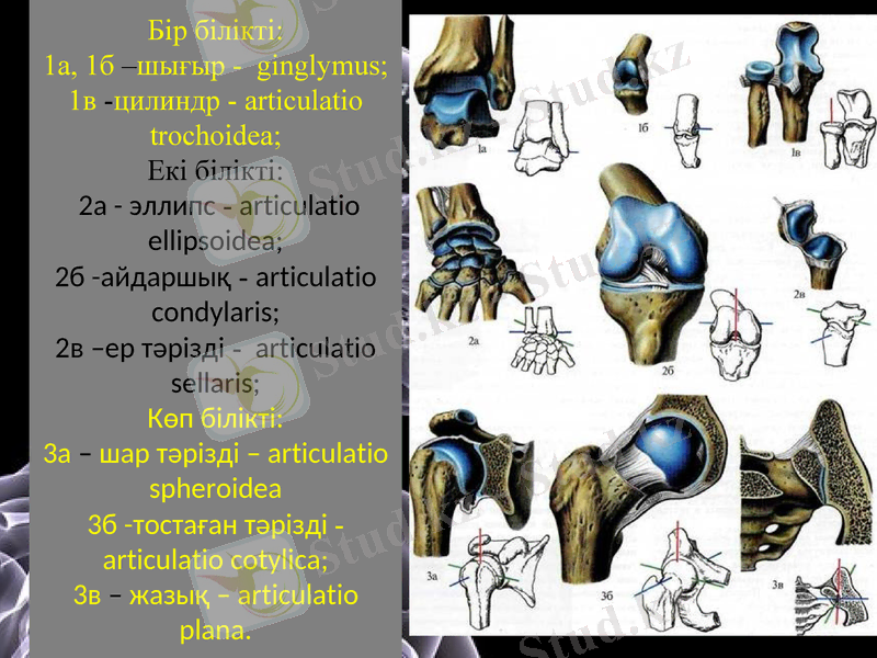 Slide 16