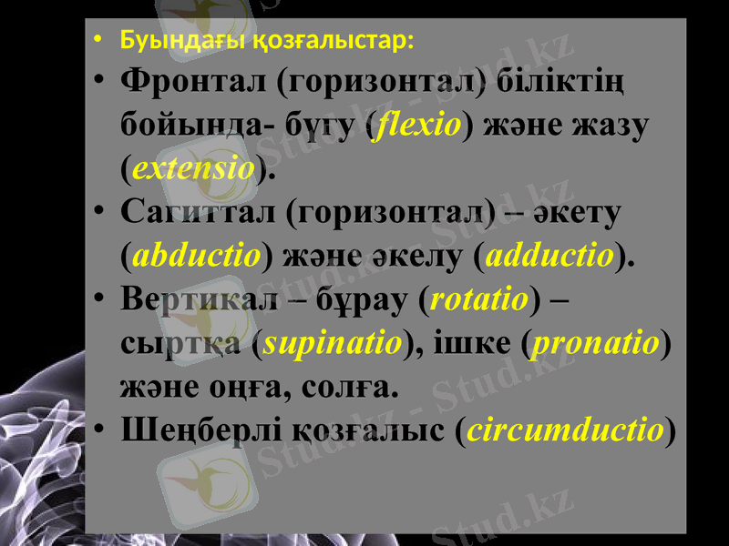 Slide 17